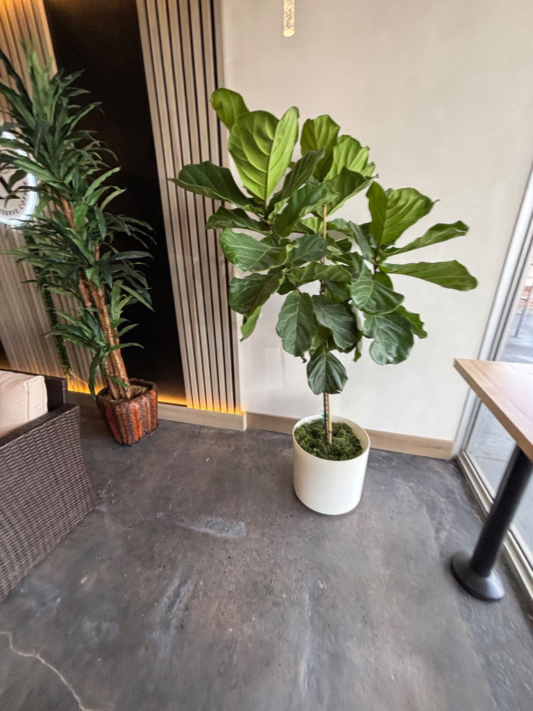 Kona Coffee after image 95